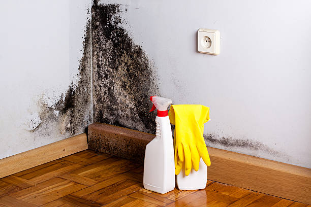 Best Mold Removal Process  in Lathrop, CA